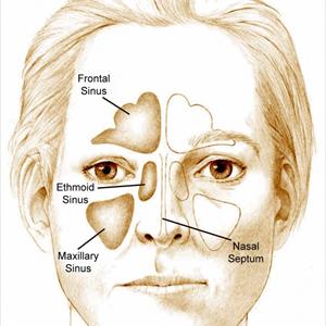 How To Cure A Bronchi - Information Upon Bronchitis